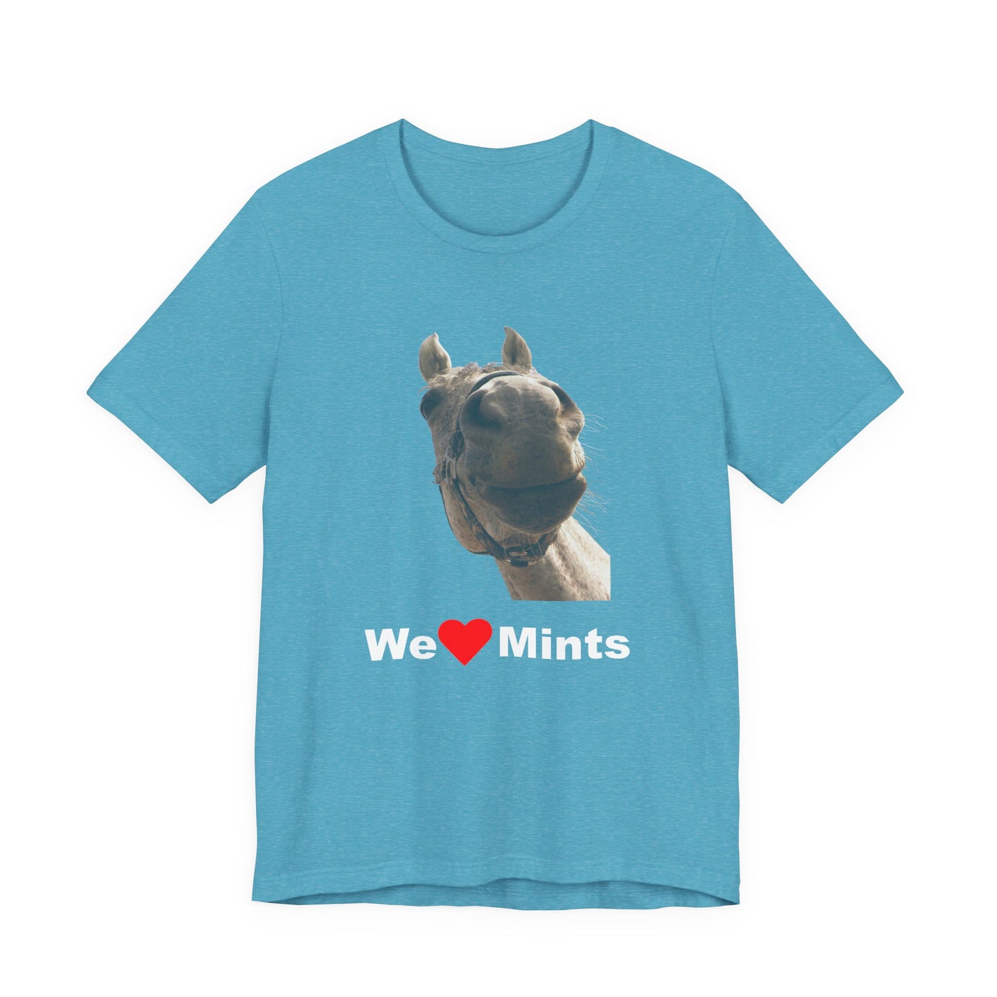 Aqua short-sleeve t-shirt featuring a graphic of a horse's face above the text 'We Love Mints'.