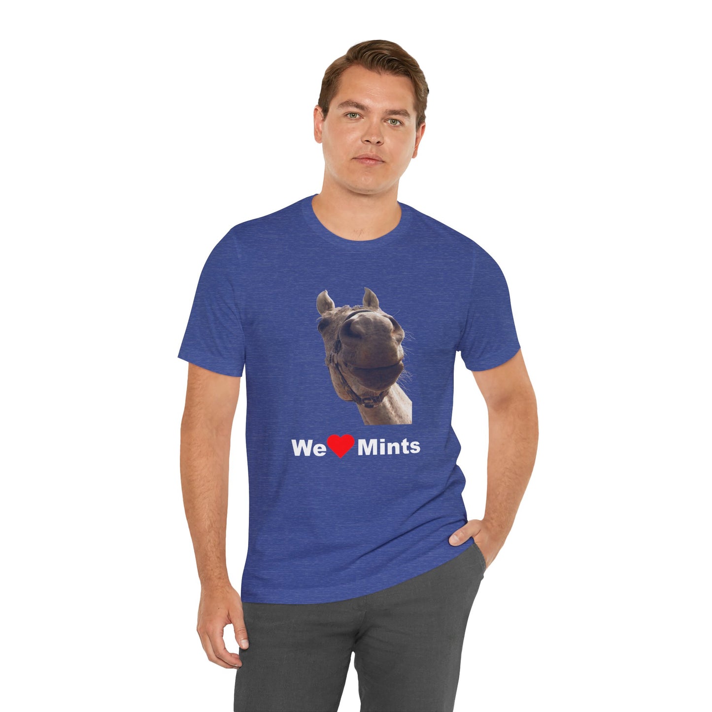 Heather blue short-sleeve t-shirt featuring a graphic of a horse's face above the text 'We Love Mints'.