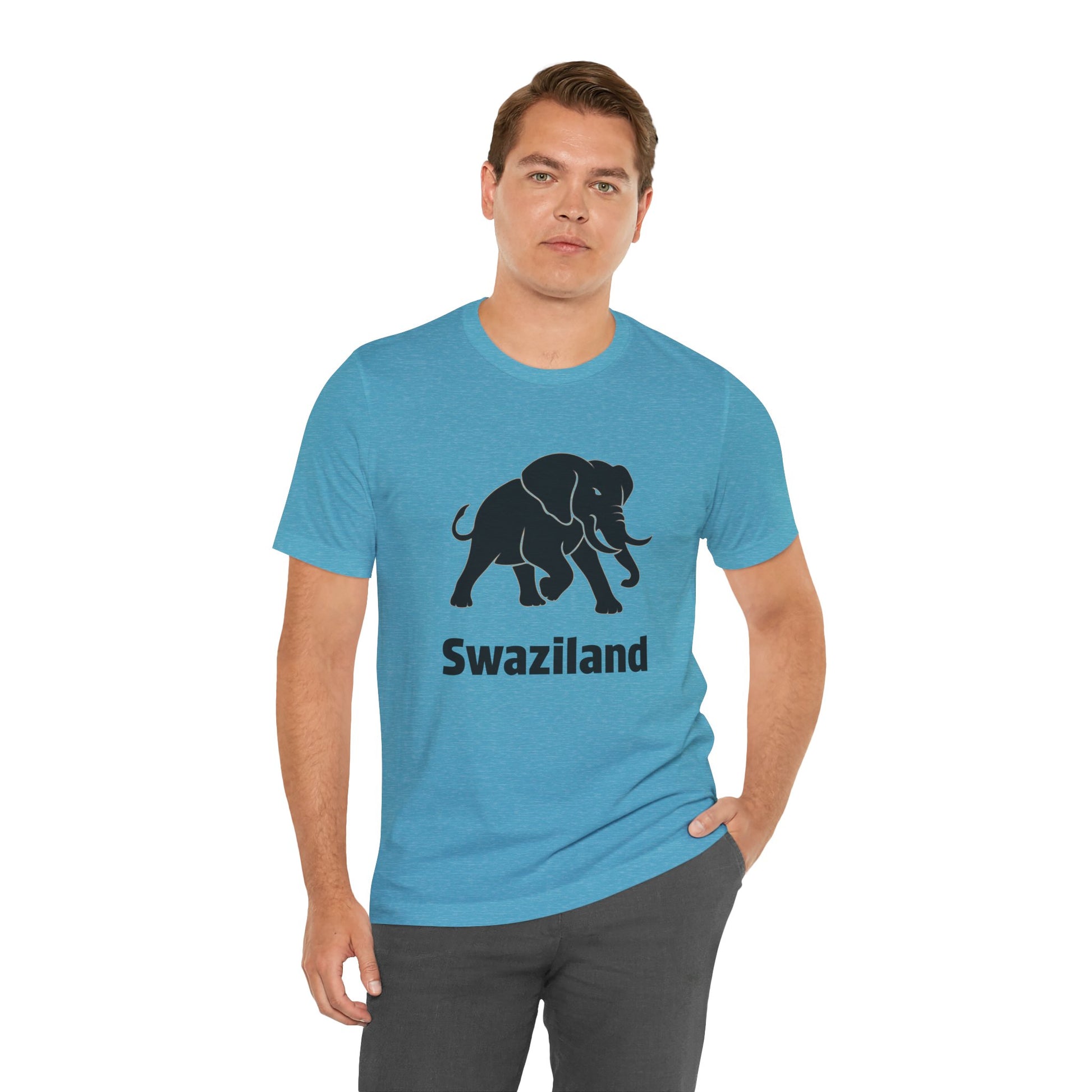 An aqua crewneck t-shirt with a black elephant graphic and the word 'Swaziland' printed below it.